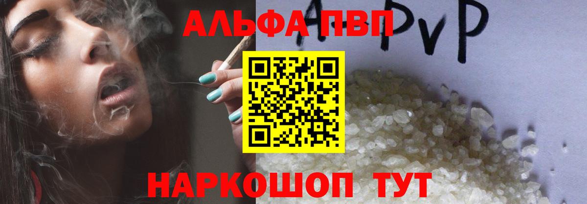 APVP СК Кострома