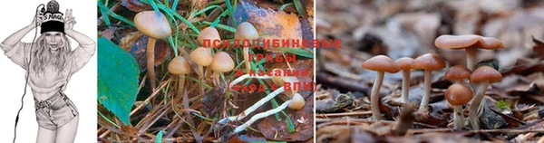 прущая мука Наволоки