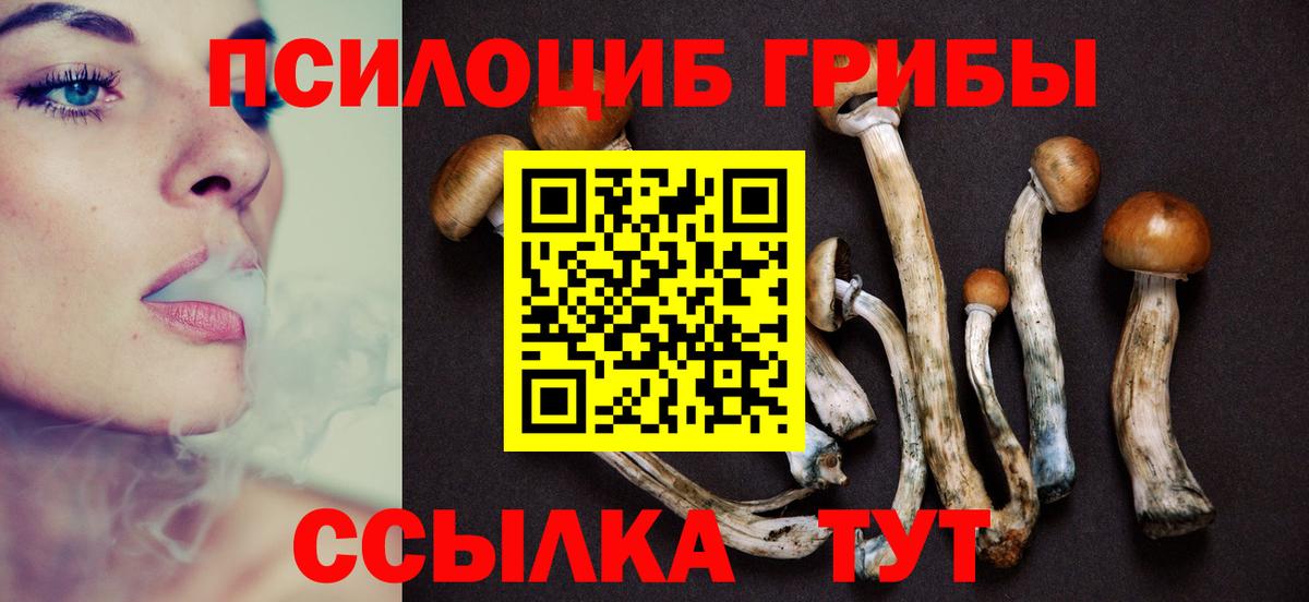 Псилоцибиновые грибы GOLDEN TEACHER  Вход с VPN  Кострома 