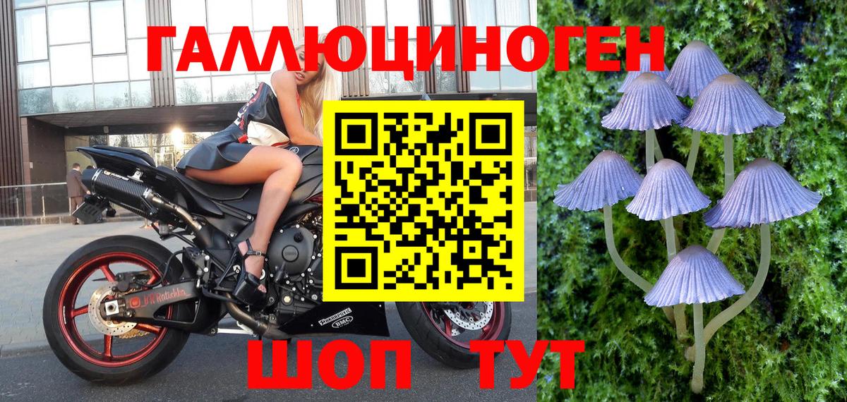 Галлюциногенные грибы мицелий Кострома